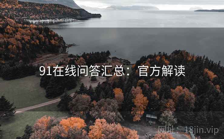 91在线问答汇总：官方解读