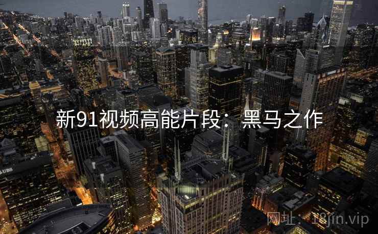 新91视频高能片段：黑马之作