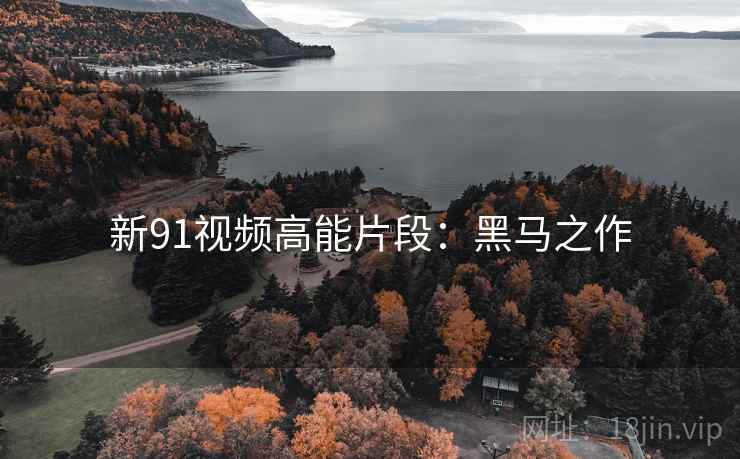 新91视频高能片段：黑马之作