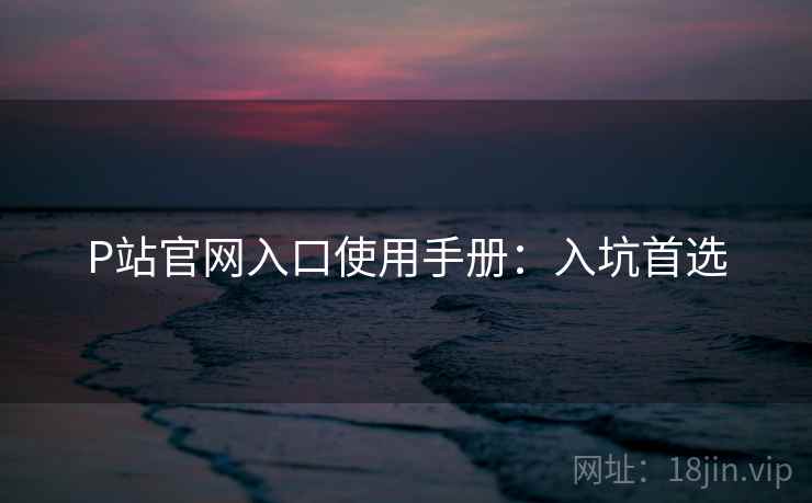 P站官网入口使用手册：入坑首选