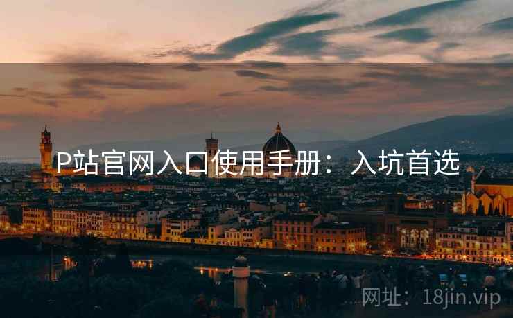 P站官网入口使用手册：入坑首选
