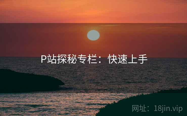 P站探秘专栏：快速上手