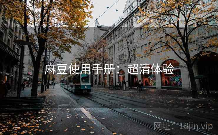 麻豆使用手册：超清体验
