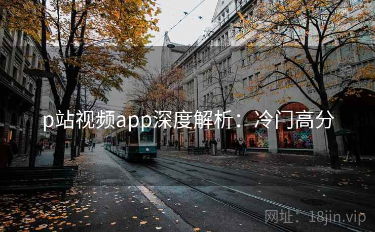 p站视频app深度解析：冷门高分