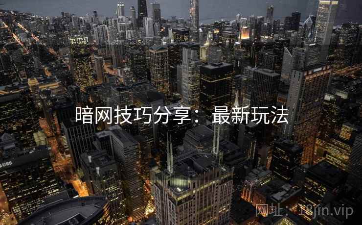 暗网技巧分享：最新玩法