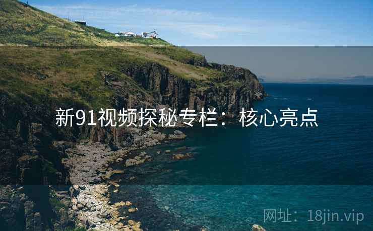 新91视频探秘专栏：核心亮点