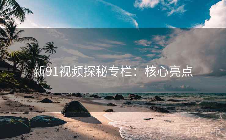 新91视频探秘专栏：核心亮点