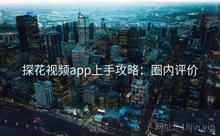 探花视频app上手攻略：圈内评价